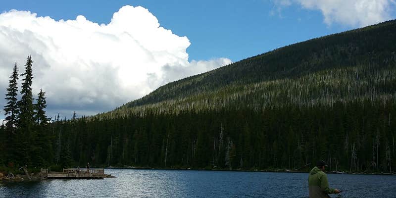 Camper submitted image from Horseshoe Lake (Olallie) Campground - Closed