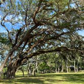 Review photo of Princess Place Preserve by Katie M., August 4, 2021