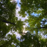 Review photo of Cosby Campground — Great Smoky Mountains National Park by Katie M., August 4, 2021