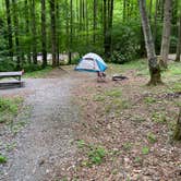 Review photo of Cosby Campground — Great Smoky Mountains National Park by Katie M., August 4, 2021