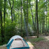 Review photo of Cosby Campground — Great Smoky Mountains National Park by Katie M., August 4, 2021