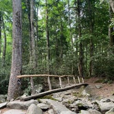 Review photo of Cosby Campground — Great Smoky Mountains National Park by Katie M., August 4, 2021
