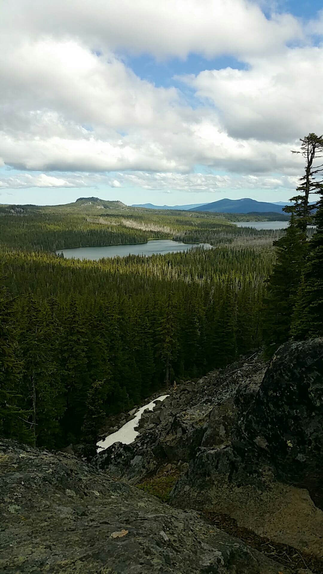 Camper submitted image from Horseshoe Lake (Olallie) Campground - Closed - 2