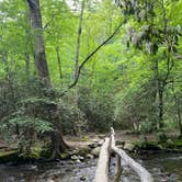 Review photo of Smokemont Campground — Great Smoky Mountains National Park by Katie M., August 4, 2021