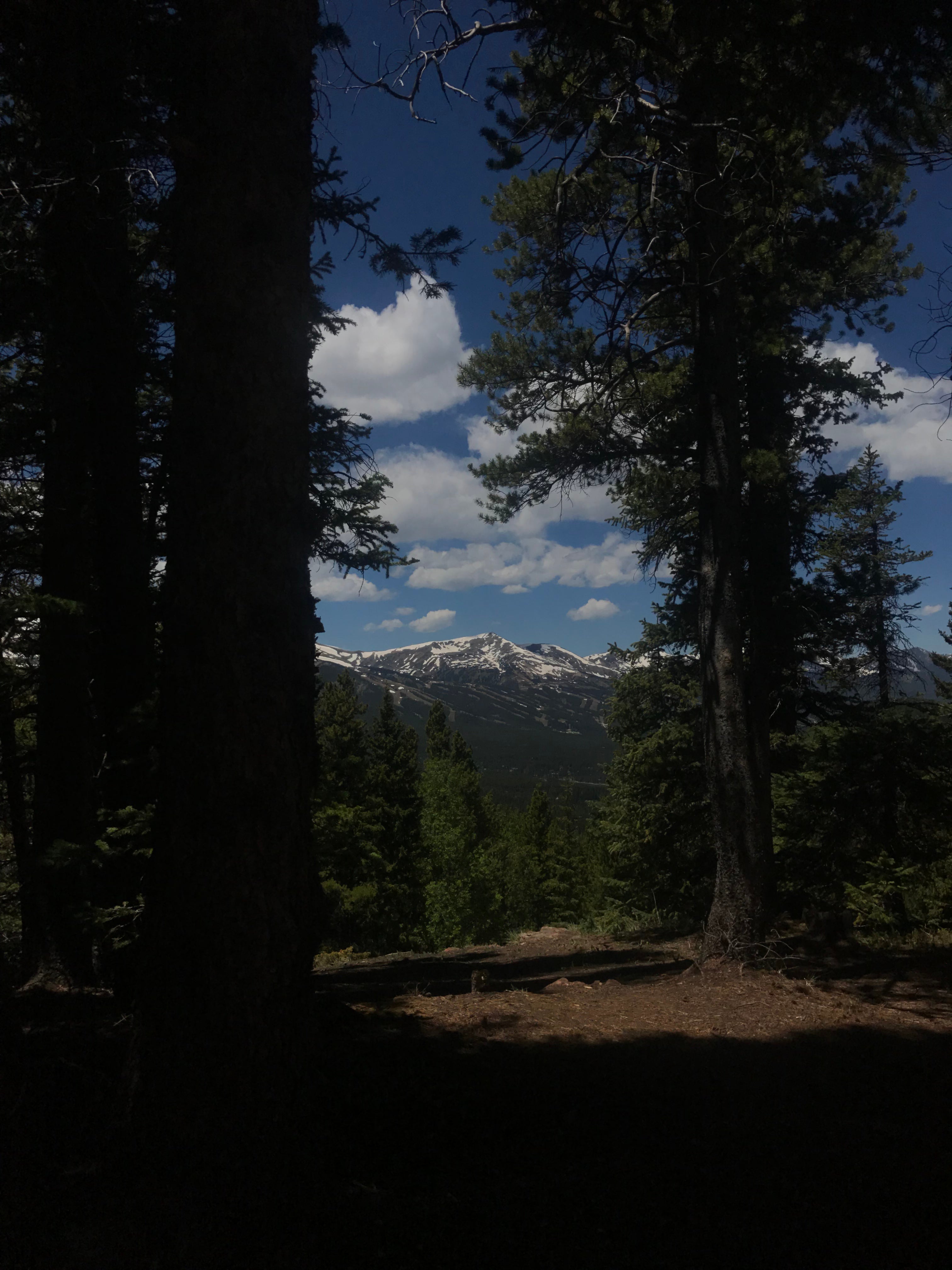 Camper submitted image from Boreas Pass Section House - 2