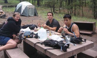 Camping near Pinery Canyon Road: Rustler Park Campground, Portal, Arizona
