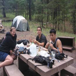 Rustler Park Campground