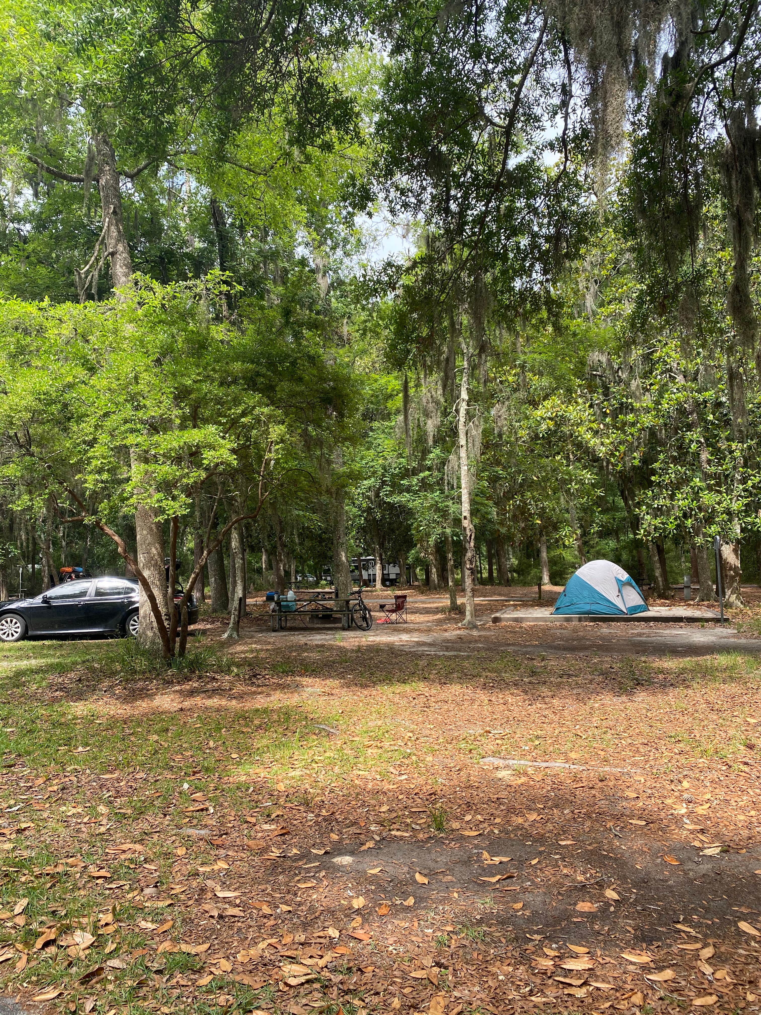 Katie M.'s photo at Fort McAllister State Park Campground near Tybee Island, GA