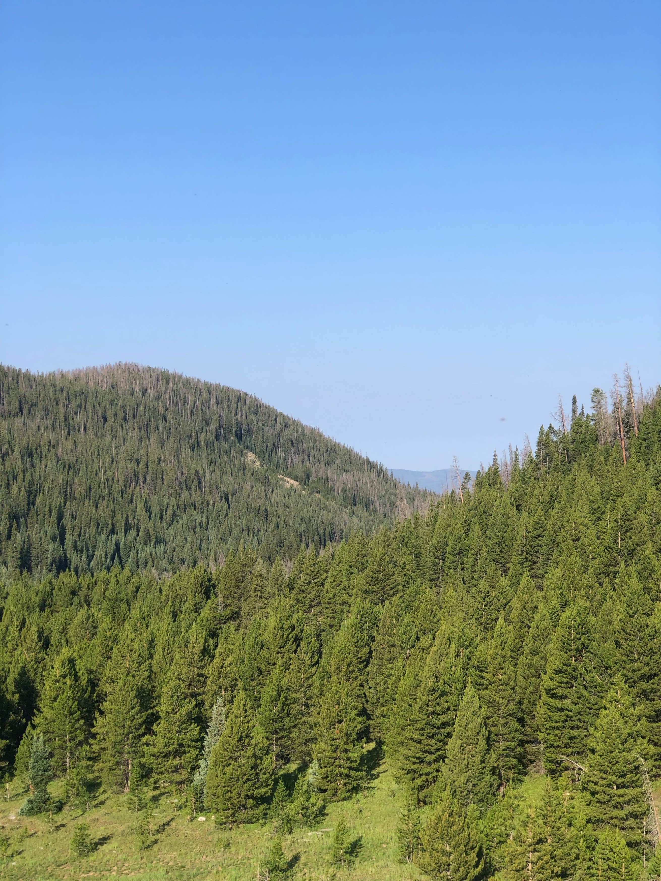 Meadow Creek Reservoir Fishing Site The Dyrt
