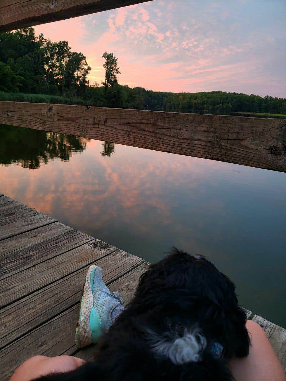 Echo's photo of camping with pets at Lums Pond State Park Campground near Downingtown, PA