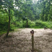 Review photo of Lums Pond State Park Campground by Echo , August 4, 2021