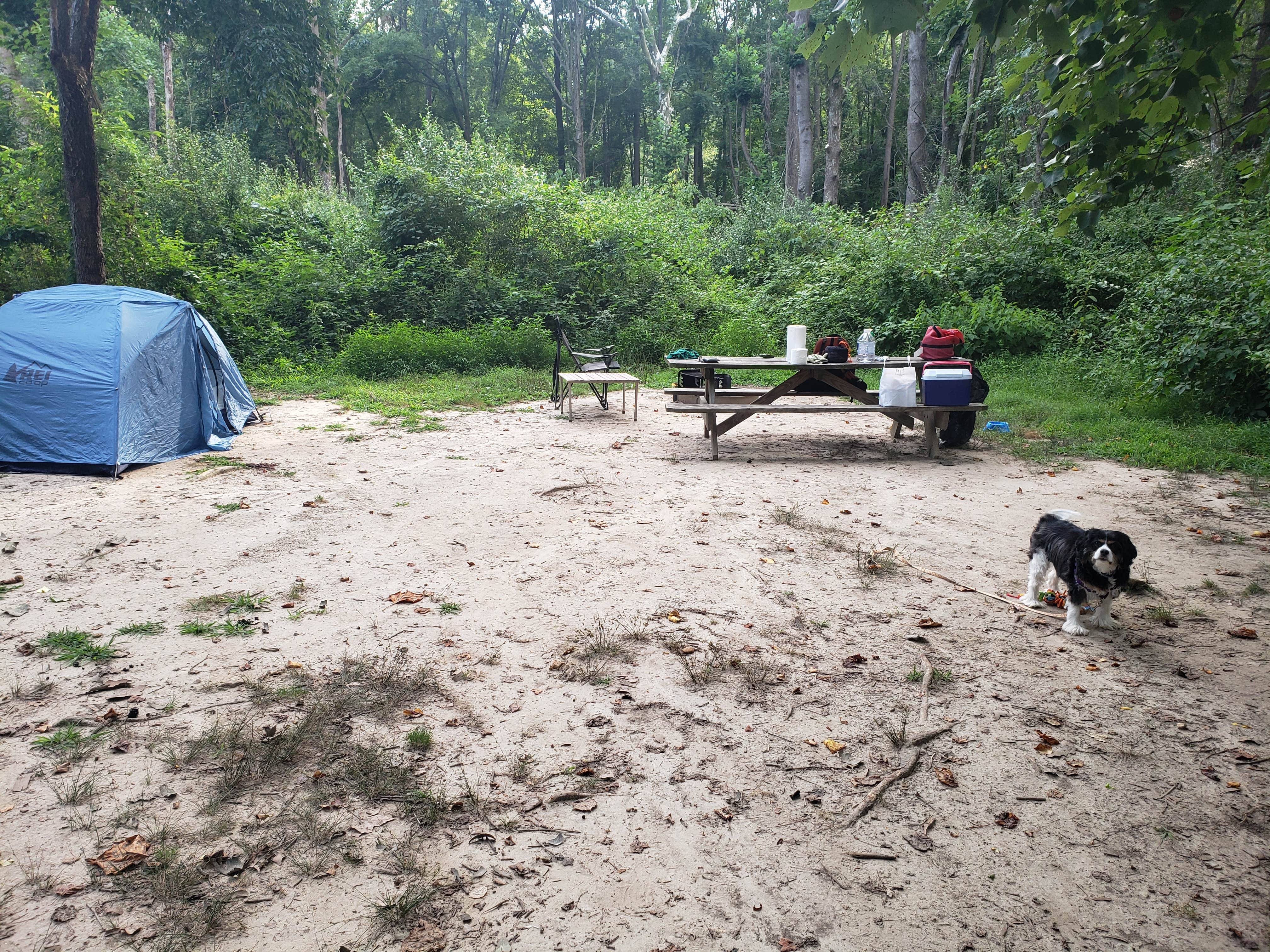 Echo's photo at Lums Pond State Park Campground near Montchanin, DE