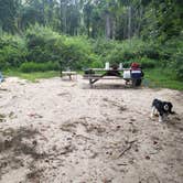 Review photo of Lums Pond State Park Campground by Echo , August 4, 2021