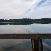 Review photo of Lums Pond State Park Campground by Echo , August 4, 2021