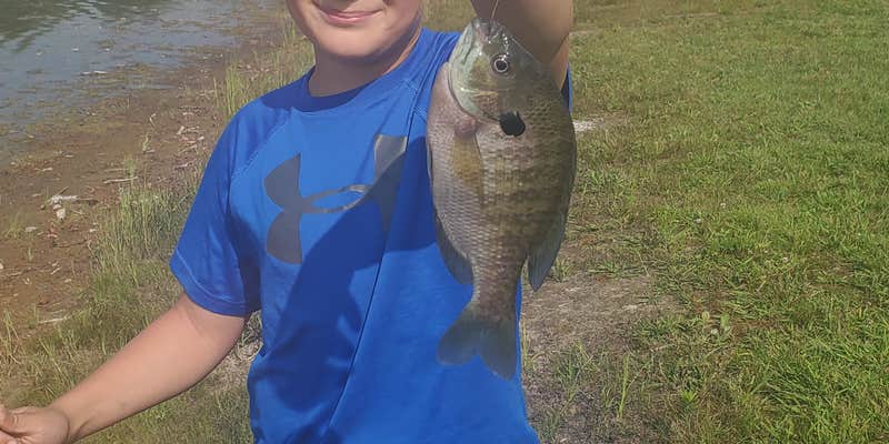 Camper submitted image from Lakeshore Camp Resort