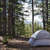 Review photo of Boreas Pass Section House by Danielle M., June 18, 2018