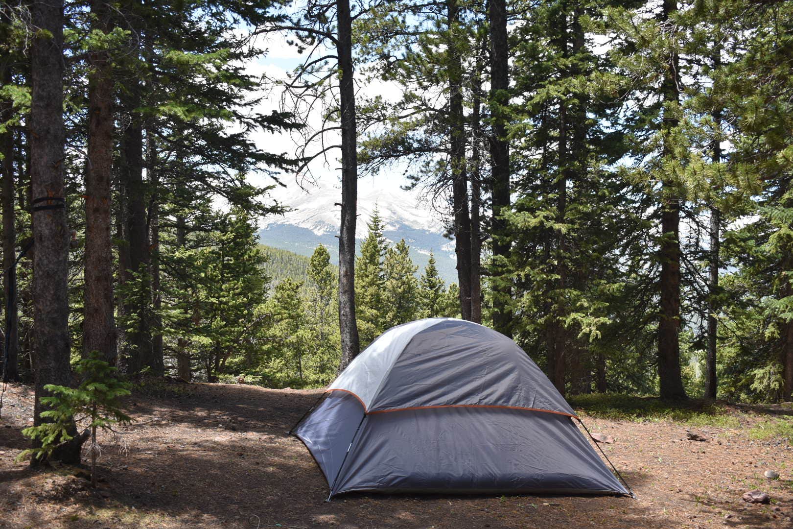 Camper submitted image from Boreas Pass Section House - 3