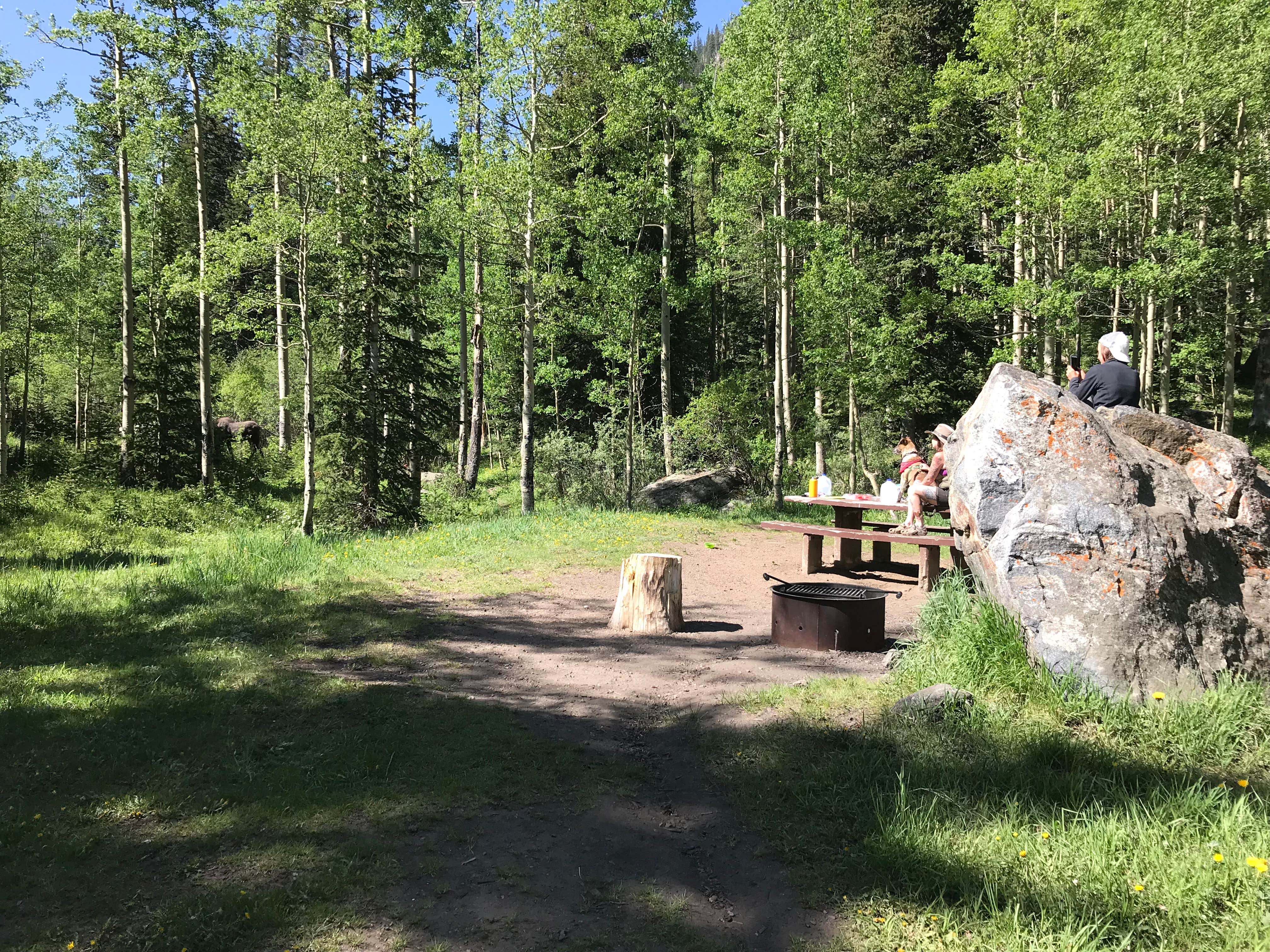 Camper-submitted photo at North Clear Creek near City of Creede, CO