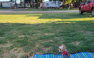 Jenny G.'s photo of camping with pets at Riverbend RV Park near Friant, CA