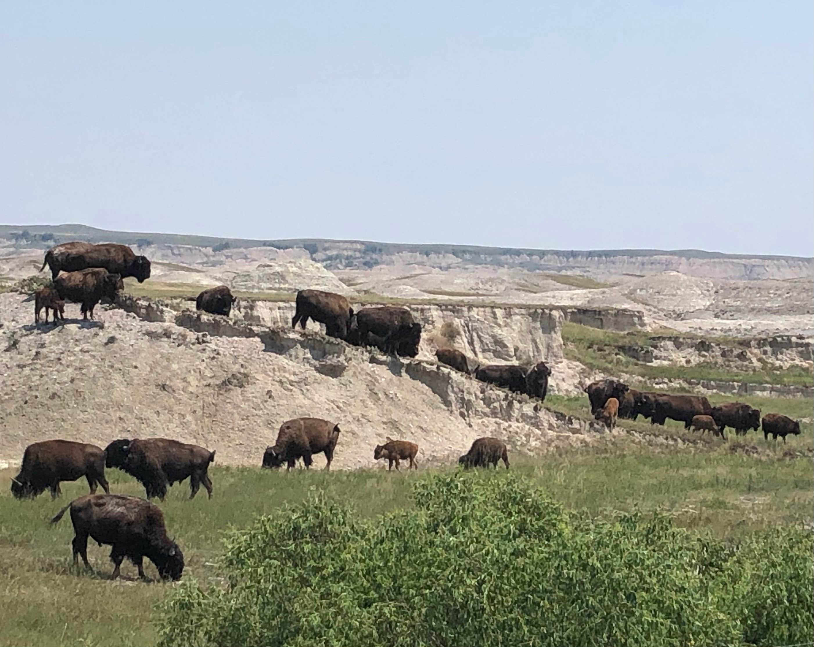 Best tent camping in Badlands National Park The Dyrt