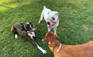 Beaver's photo of camping with pets at Beaver Lake Campground near Custer, SD