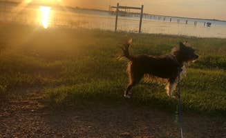 Robyn W.'s photo of camping with pets at Lake Stamford Marina near Stamford, TX