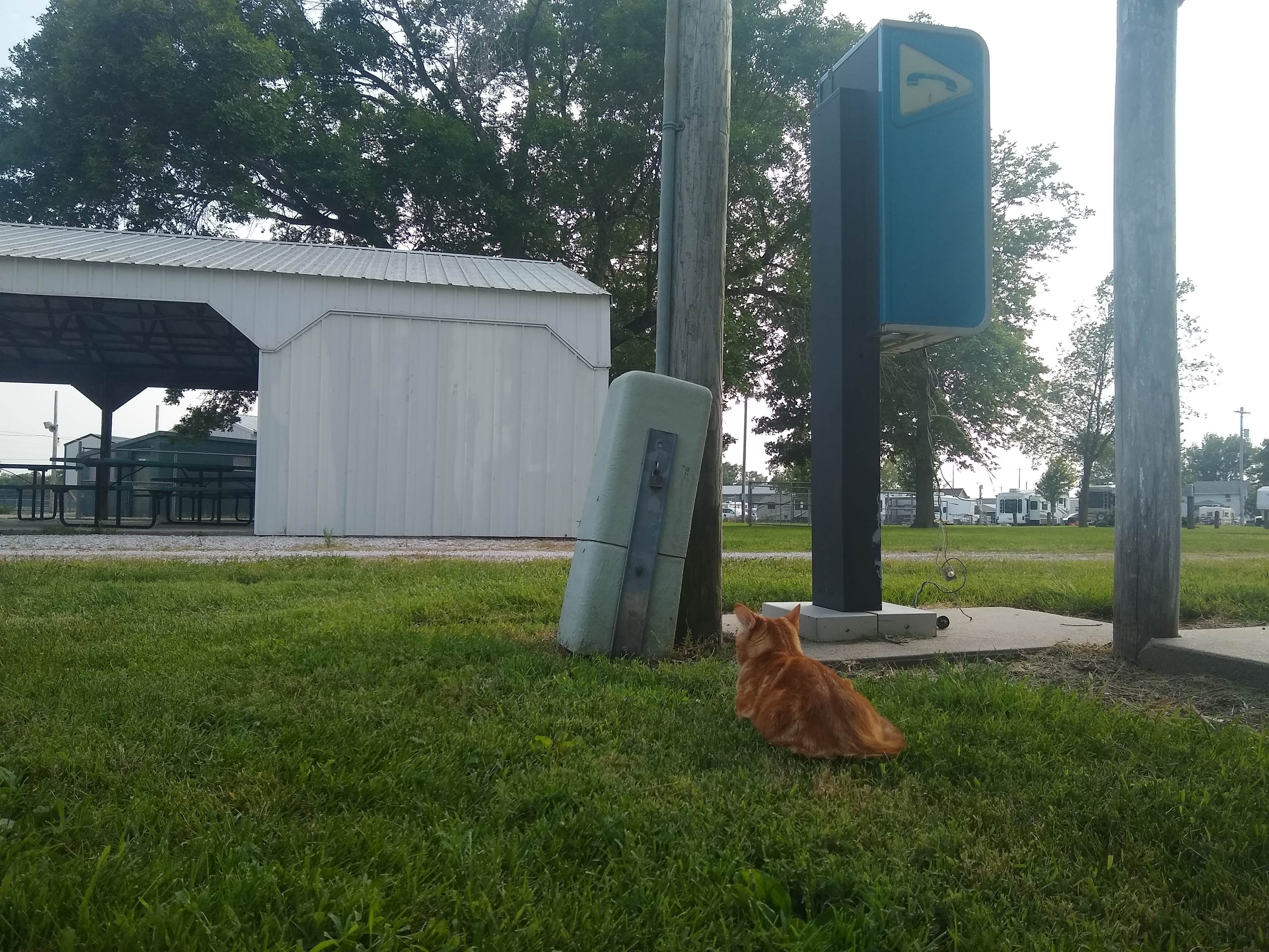 Crystal R.'s photo of camping with pets at Syracuse City near Lincoln, NE