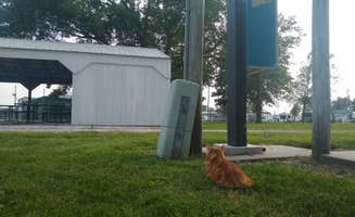 Crystal R.'s photo of camping with pets at Syracuse City near Nebraska City, NE