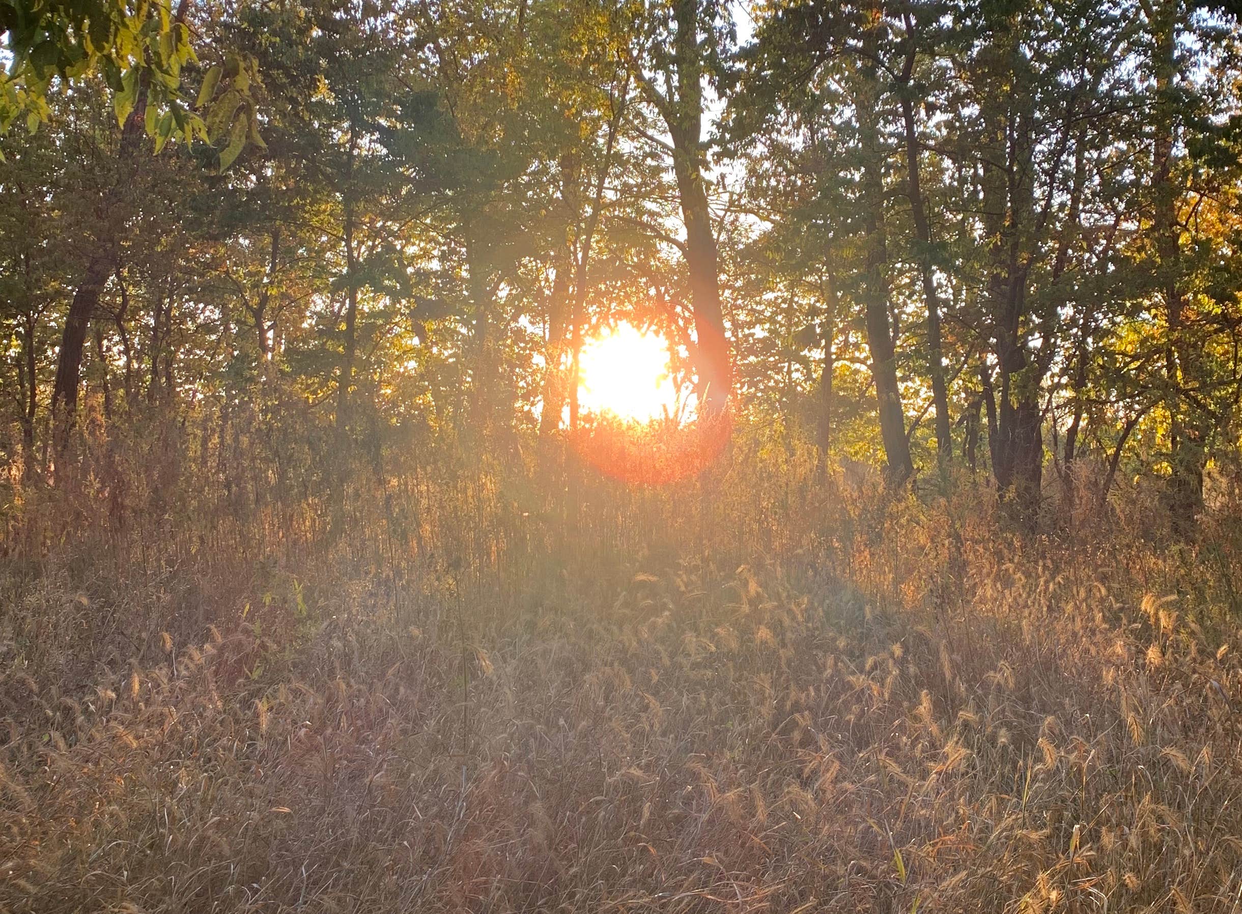 Camper submitted image from Medicine Creek  State Rec Area - 1