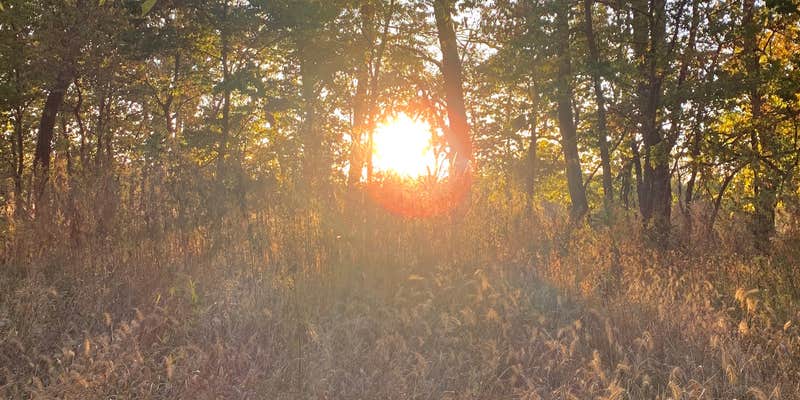 Camper submitted image from Medicine Creek State Rec Area