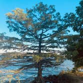 Review photo of Branched Oak Lake State Rec Area by Jen K., July 25, 2021