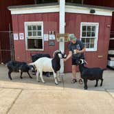 Review photo of Oak Mountain State Park Campground by Joyce T., August 5, 2021