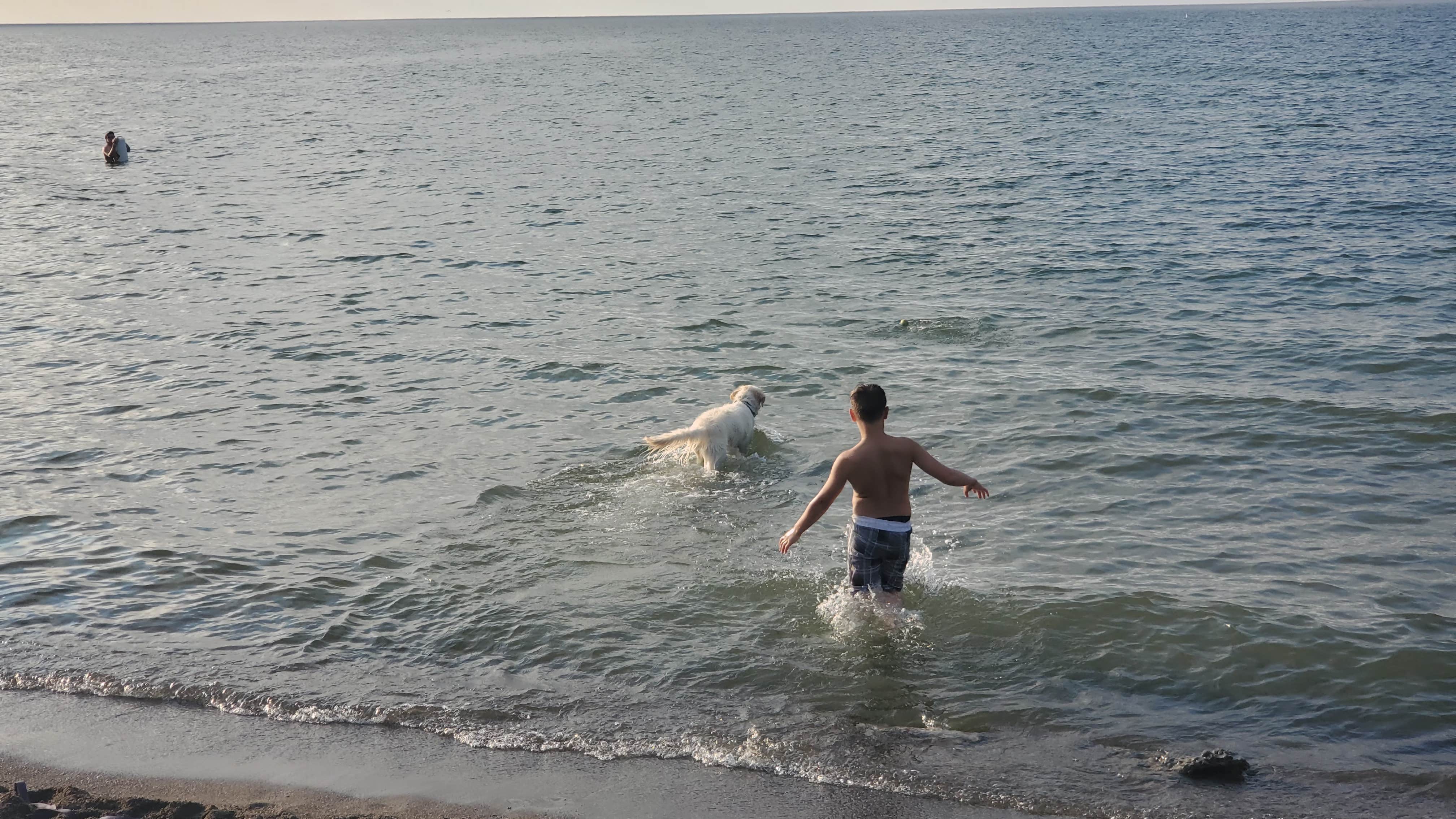 Rino S.'s photo of camping with pets at Hamlin Beach State Park Campground near Adams Basin, NY