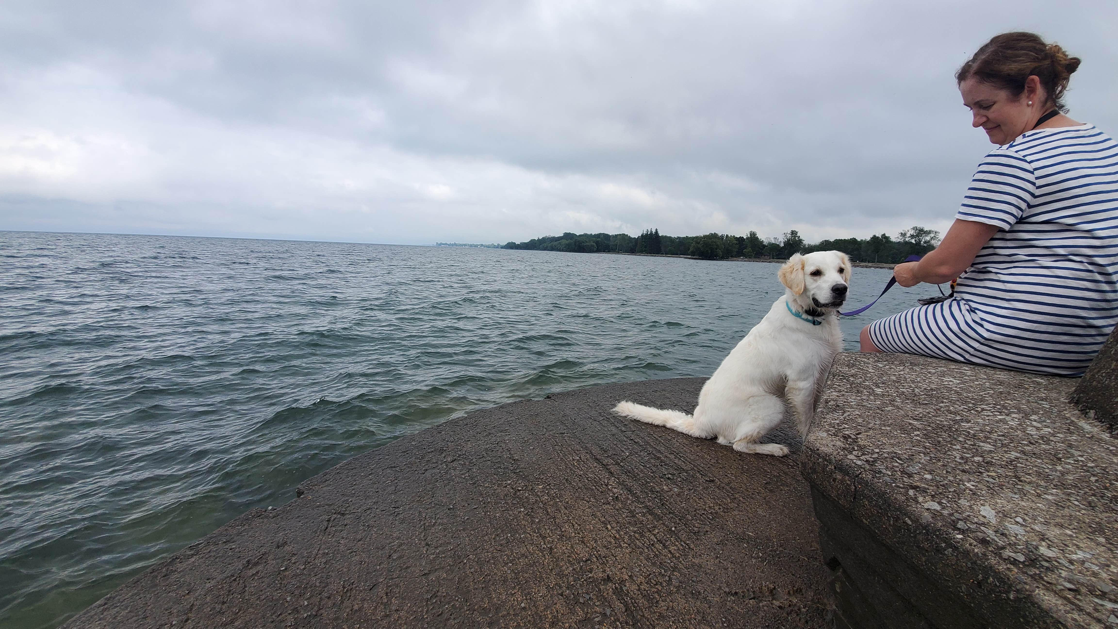 Rino S.'s photo of camping with pets at Hamlin Beach State Park Campground near Henrietta, NY