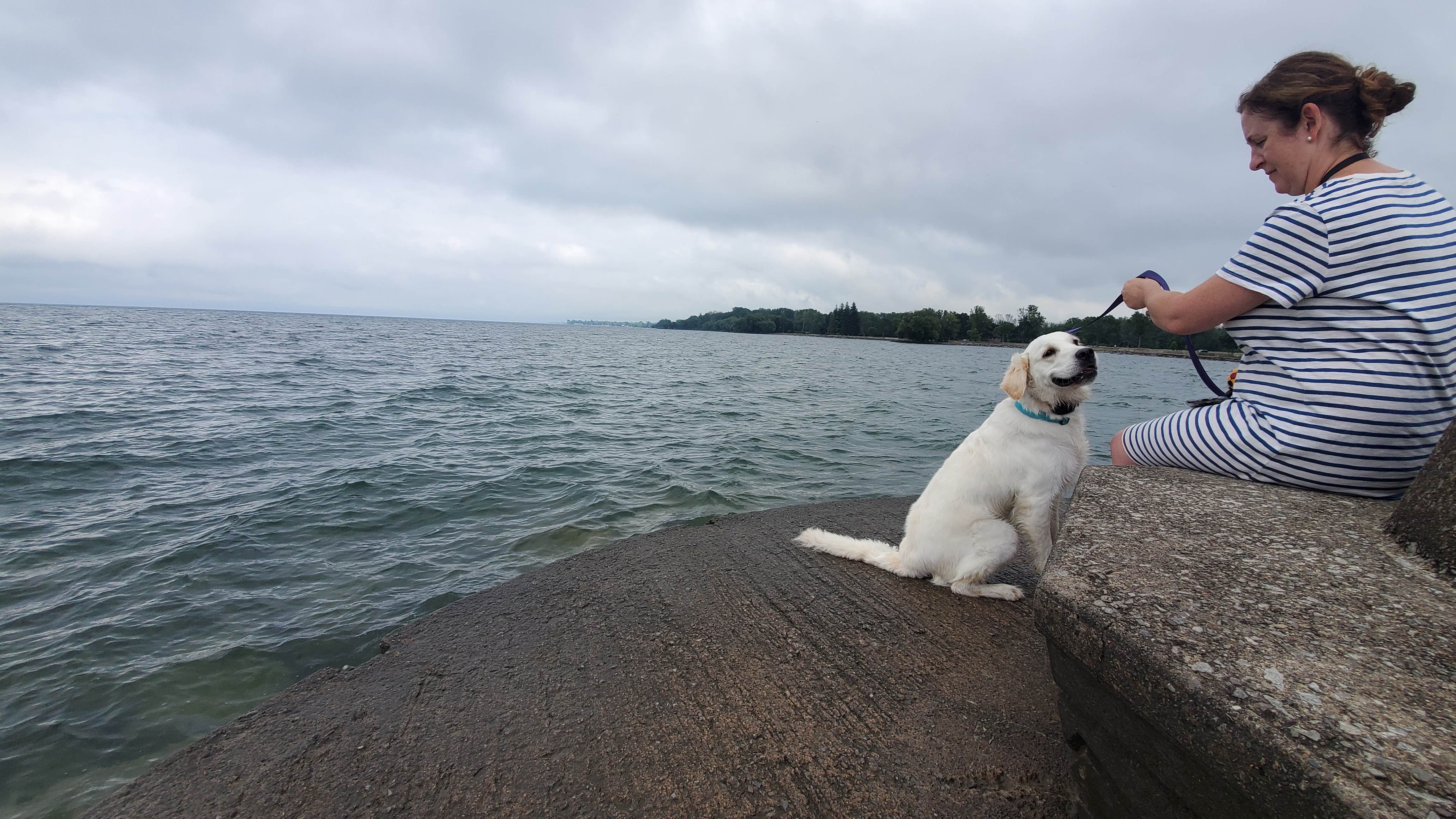 Rino S.'s photo of camping with pets at Hamlin Beach State Park Campground near Adams Basin, NY