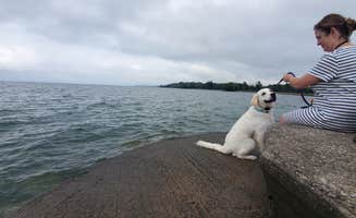 Rino S.'s photo of camping with pets at Hamlin Beach State Park Campground near Adams Basin, NY