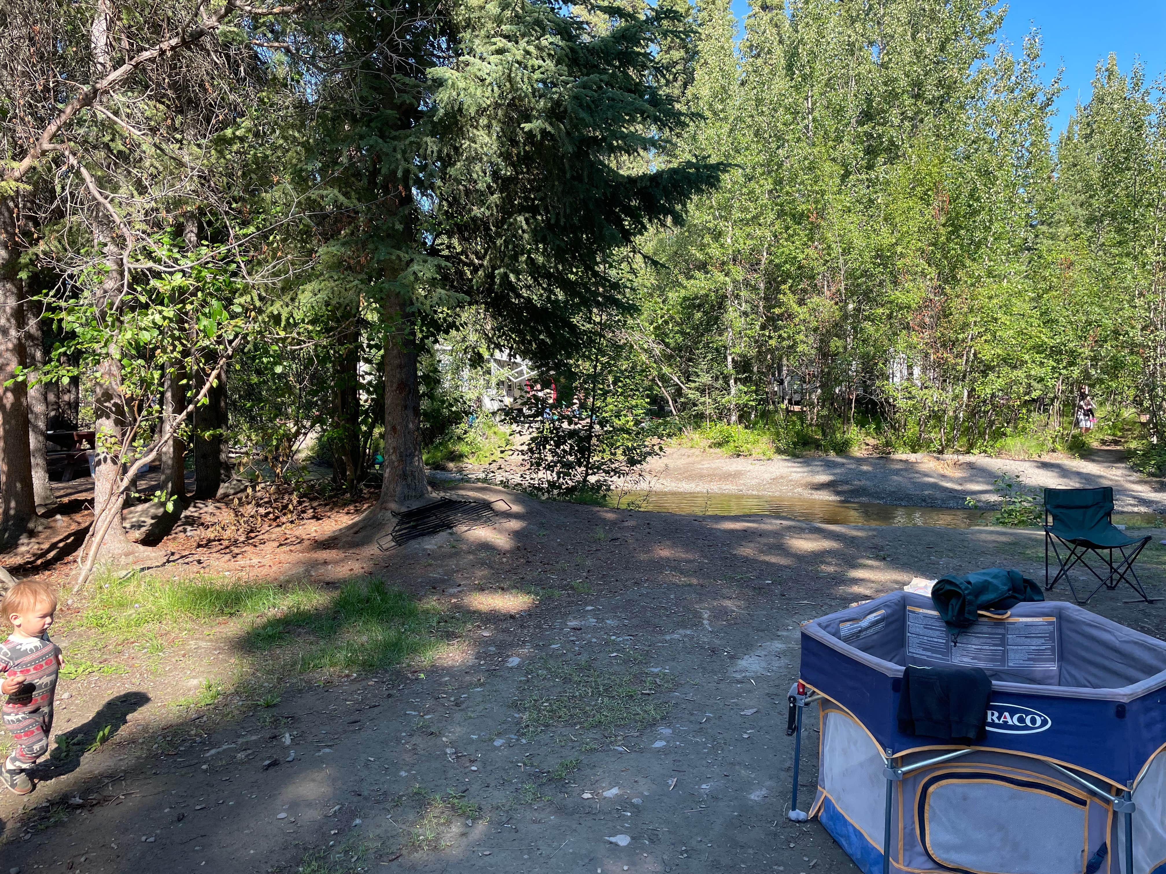 Camper submitted image from Tolsona Wilderness Campground - 1