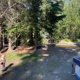 Review photo of Tolsona Wilderness Campground  by Jessica J., August 5, 2021