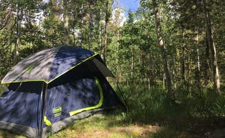 Lydia W.'s photo at Kenosha Pass Campground near Jefferson, CO