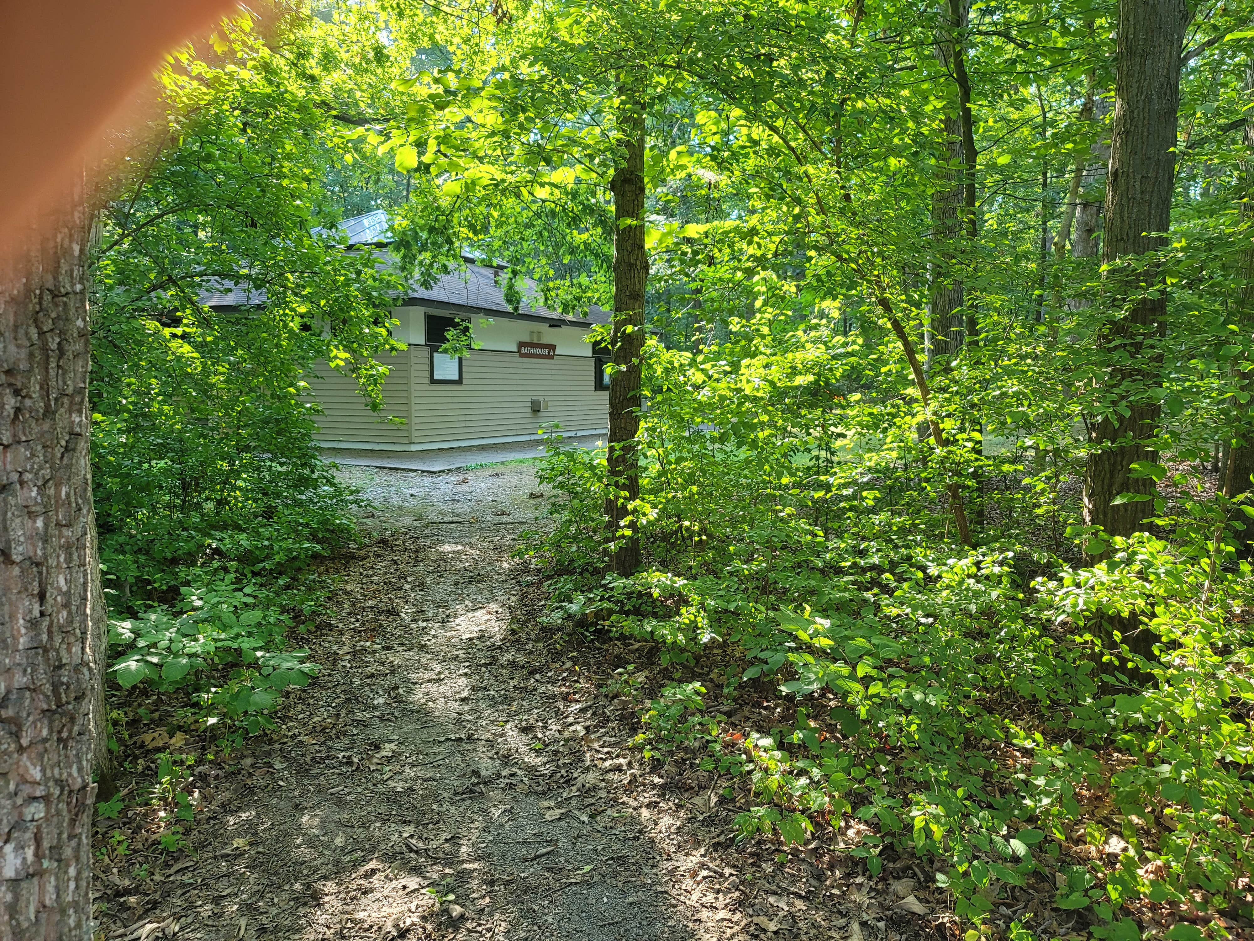 Little Regional Park Campground The Dyrt