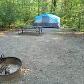 Review photo of Little Bennett Regional Park Campground by Patraic E., August 5, 2021