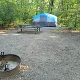 Review photo of Little Bennett Campground by Patraic E., August 5, 2021