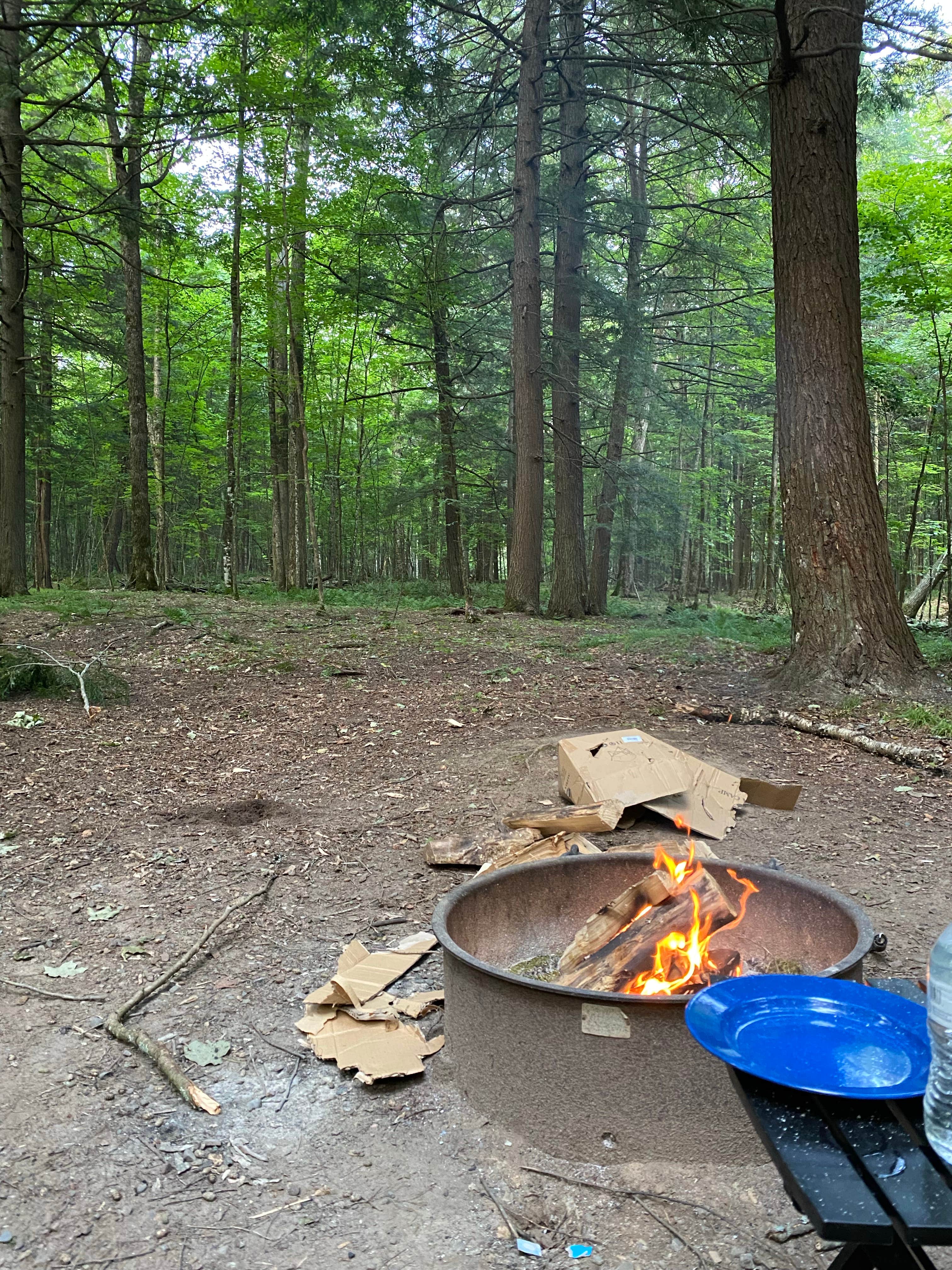 Hannah I.'s photo at Franklin Lake near Crandon, WI