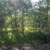 Review photo of Kenosha Pass Campground by Lydia W., June 18, 2018