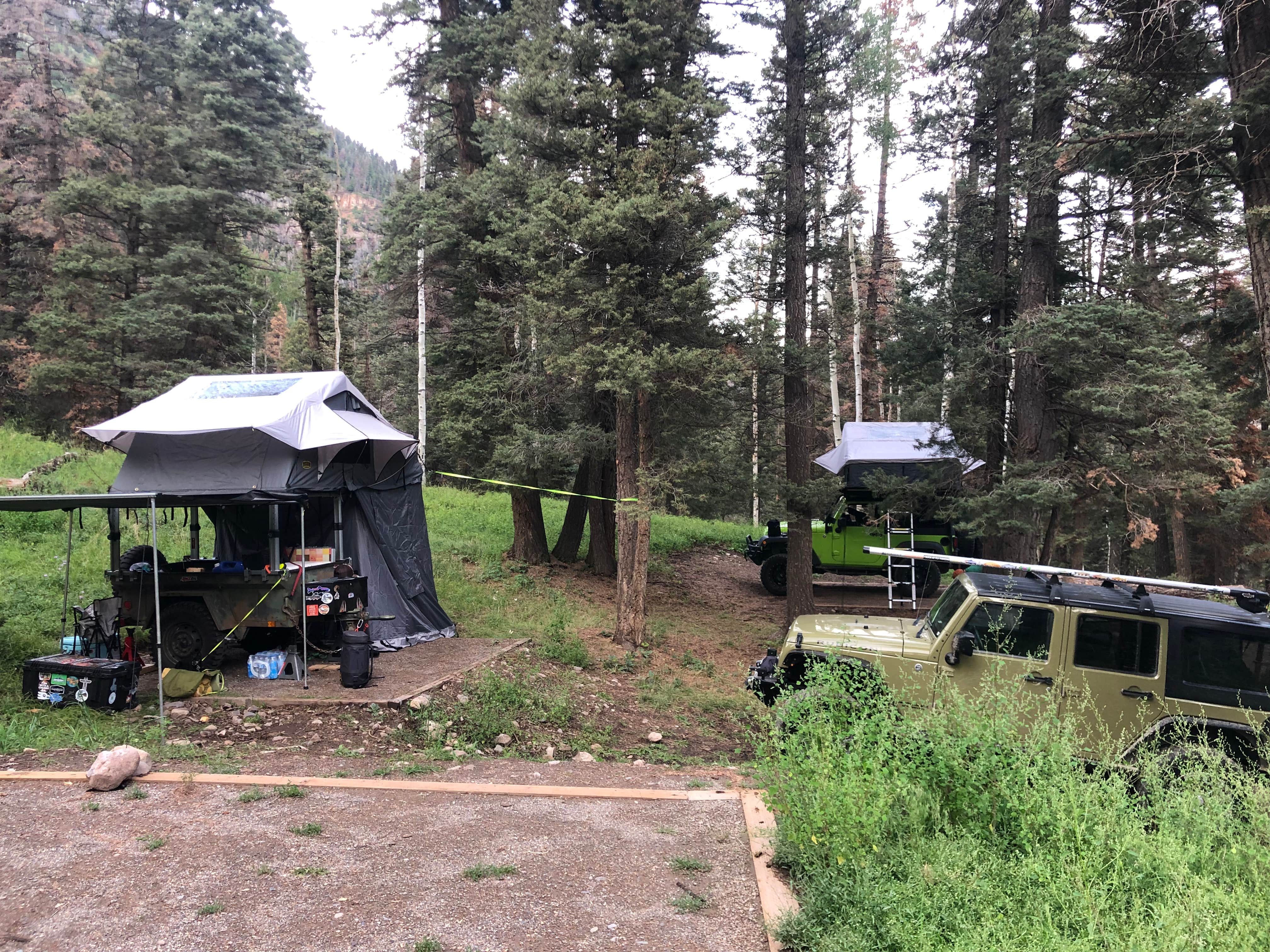 Camper submitted image from Angel Creek Campground - 5