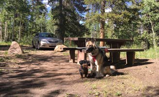 Lydia W.'s photo of camping with pets at Kenosha Pass Campground near Como, CO