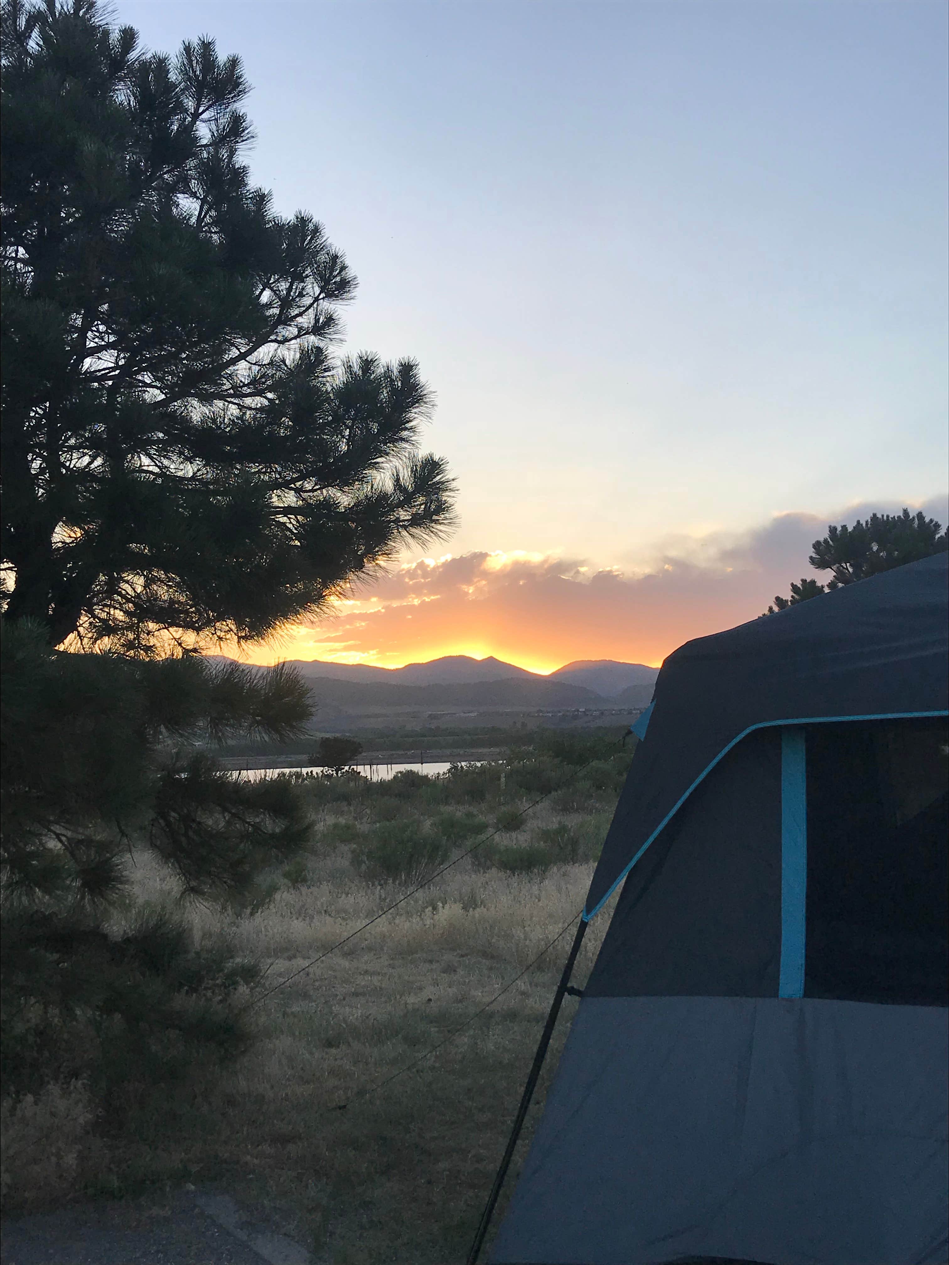 Camper submitted image from Chatfield State Park Campground - 3