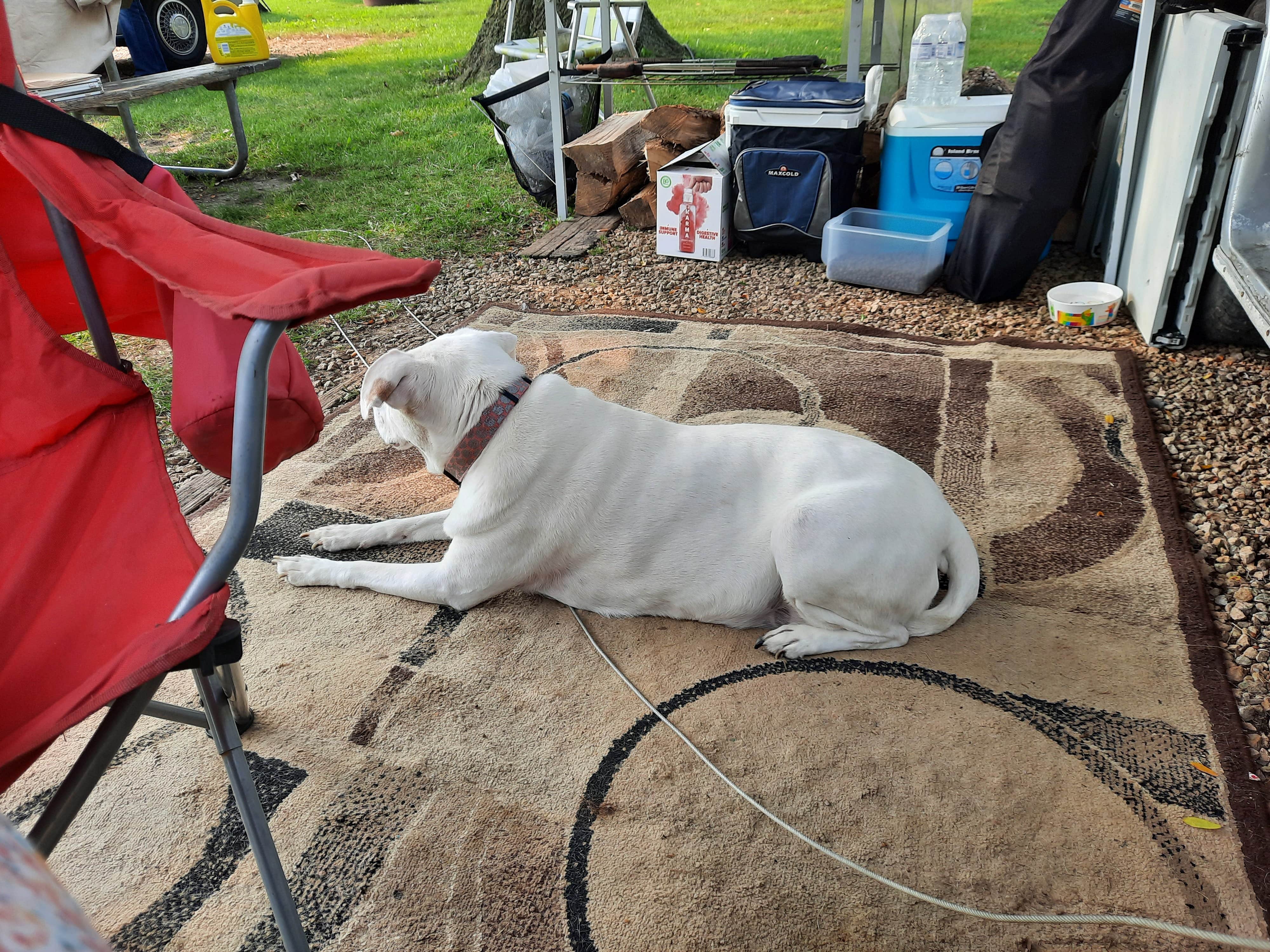 Camper-submitted photo at Swiss Valley County Park near Marquette, IA