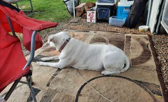 Andi A.'s photo of camping with pets at Swiss Valley County Park near Dubuque, IA