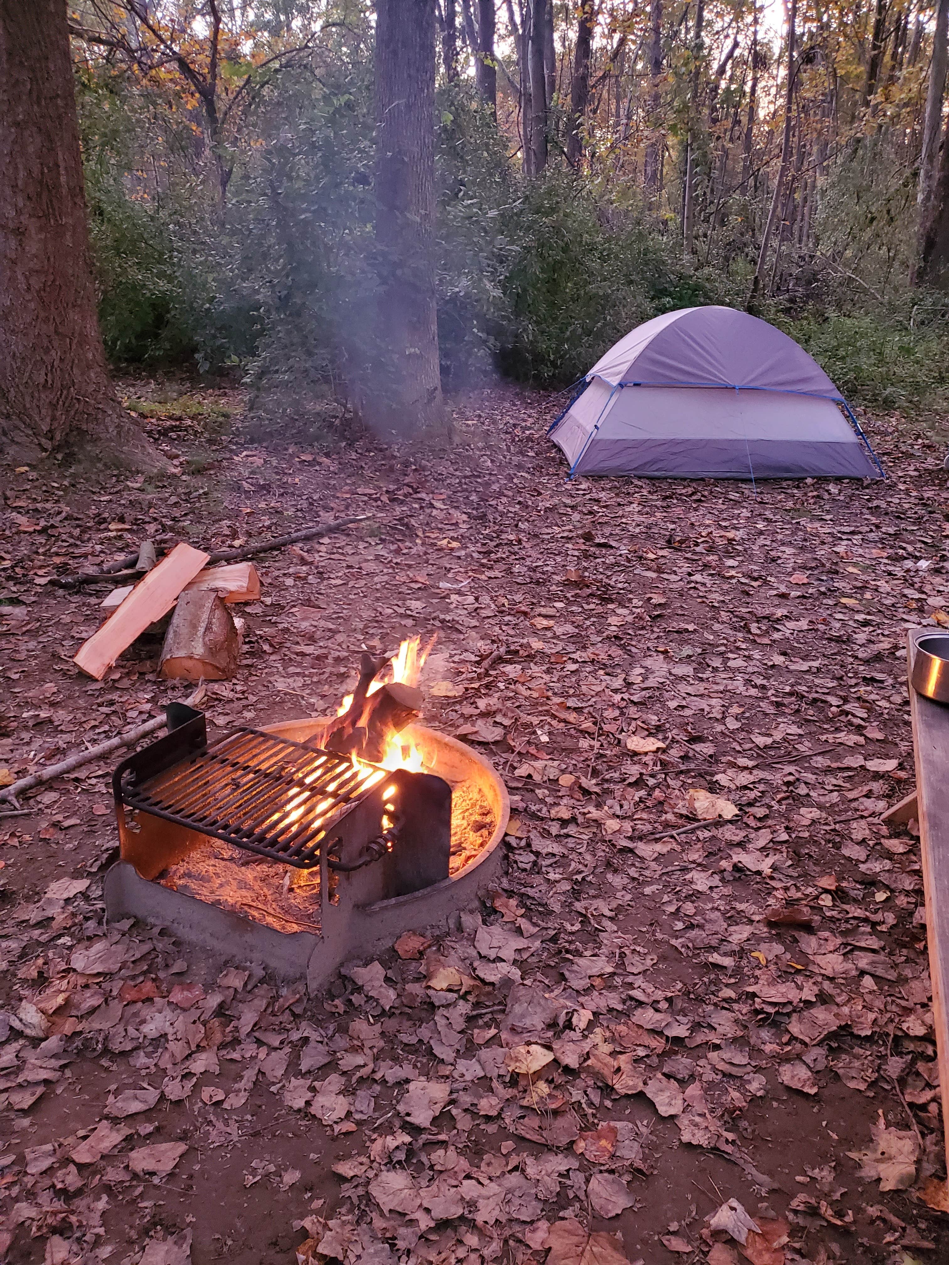 Kristina K.'s photo at Lums Pond State Park Campground near Middletown, DE